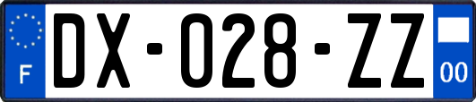 DX-028-ZZ