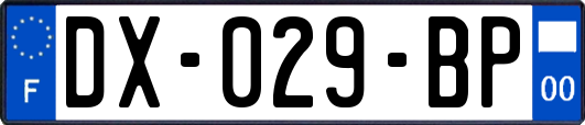 DX-029-BP