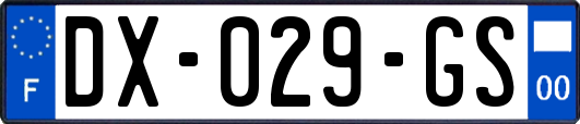 DX-029-GS