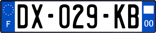 DX-029-KB