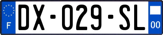 DX-029-SL