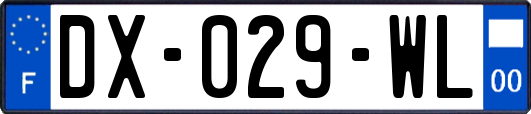 DX-029-WL