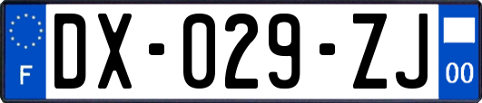 DX-029-ZJ