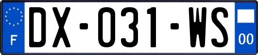 DX-031-WS