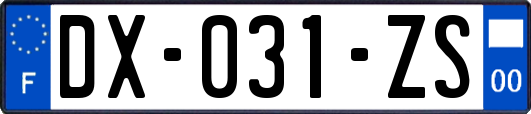 DX-031-ZS