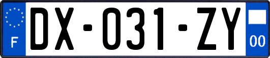 DX-031-ZY