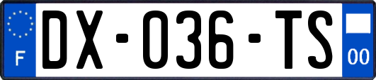 DX-036-TS