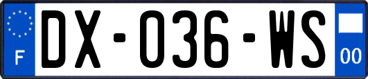 DX-036-WS