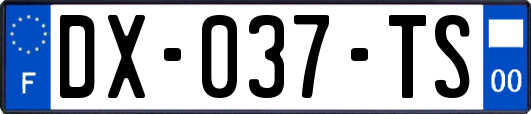 DX-037-TS
