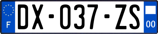 DX-037-ZS