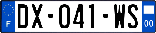 DX-041-WS