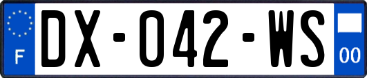 DX-042-WS