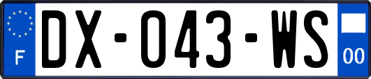 DX-043-WS