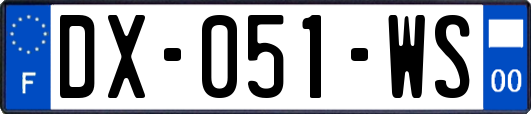 DX-051-WS