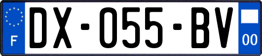 DX-055-BV