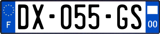 DX-055-GS