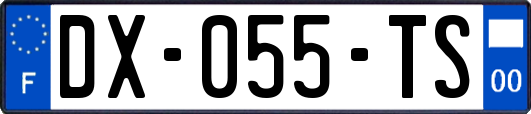 DX-055-TS