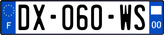 DX-060-WS