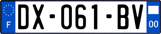 DX-061-BV