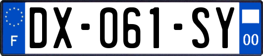 DX-061-SY