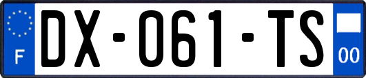 DX-061-TS