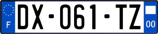 DX-061-TZ