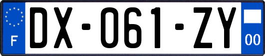 DX-061-ZY