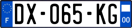DX-065-KG