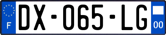 DX-065-LG