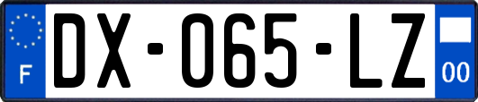 DX-065-LZ
