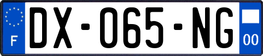 DX-065-NG