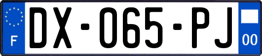 DX-065-PJ
