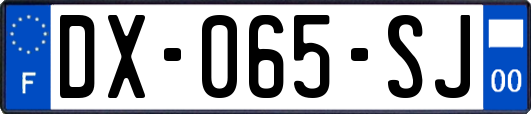 DX-065-SJ