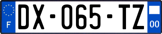 DX-065-TZ