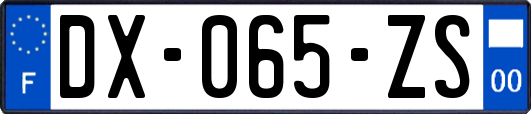 DX-065-ZS