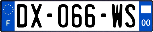 DX-066-WS