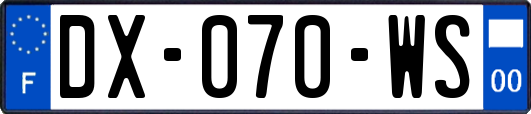 DX-070-WS