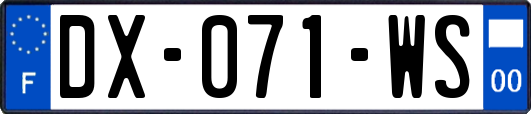 DX-071-WS