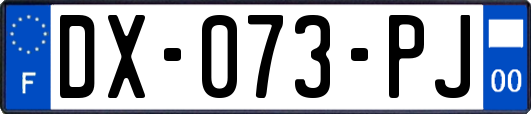DX-073-PJ
