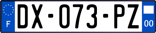DX-073-PZ