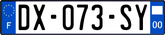 DX-073-SY