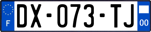 DX-073-TJ