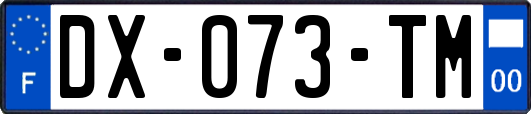 DX-073-TM