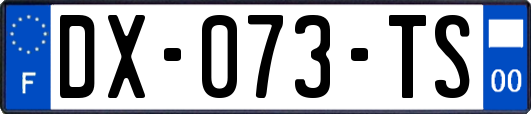 DX-073-TS