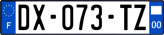 DX-073-TZ