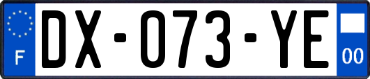 DX-073-YE