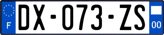 DX-073-ZS