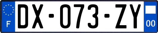 DX-073-ZY