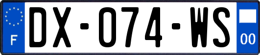 DX-074-WS