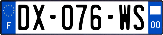 DX-076-WS